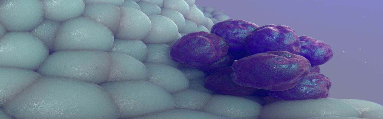 VR_cell_emit5_full 3 (0-00-00-00)